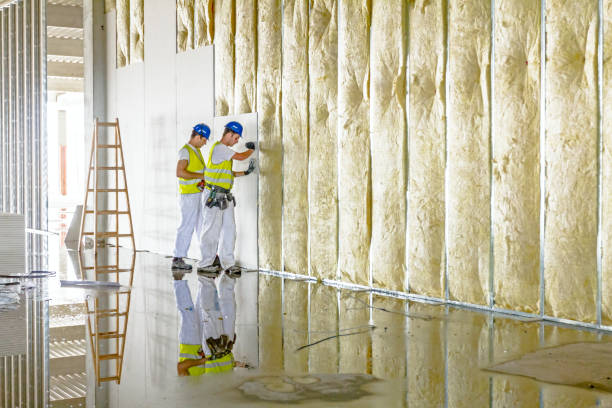 Best Insulation Installation Services in Amboy, WA